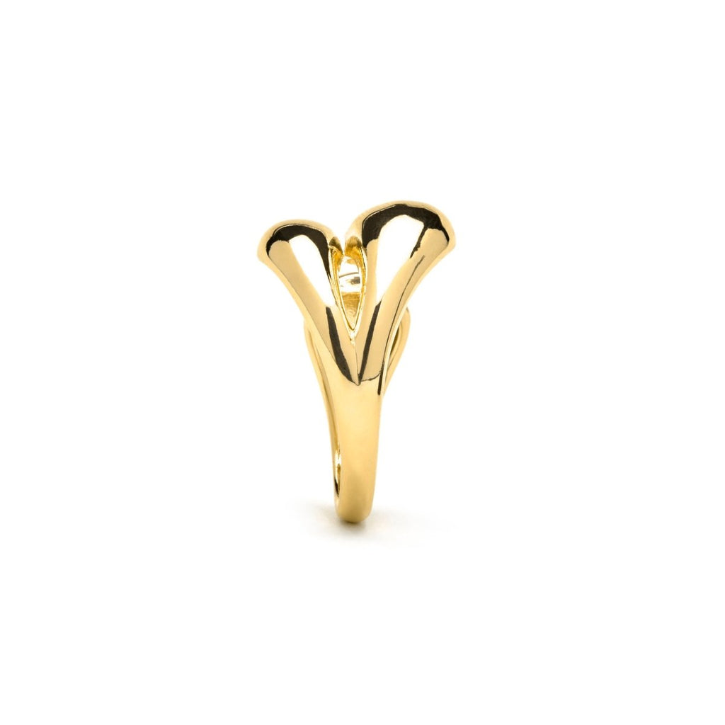 Anillo dorado con personalidad